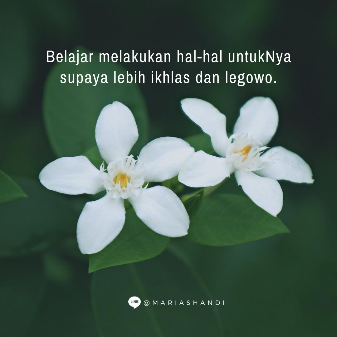 Sebuah Perbedaan Sebuah Perbedaan
