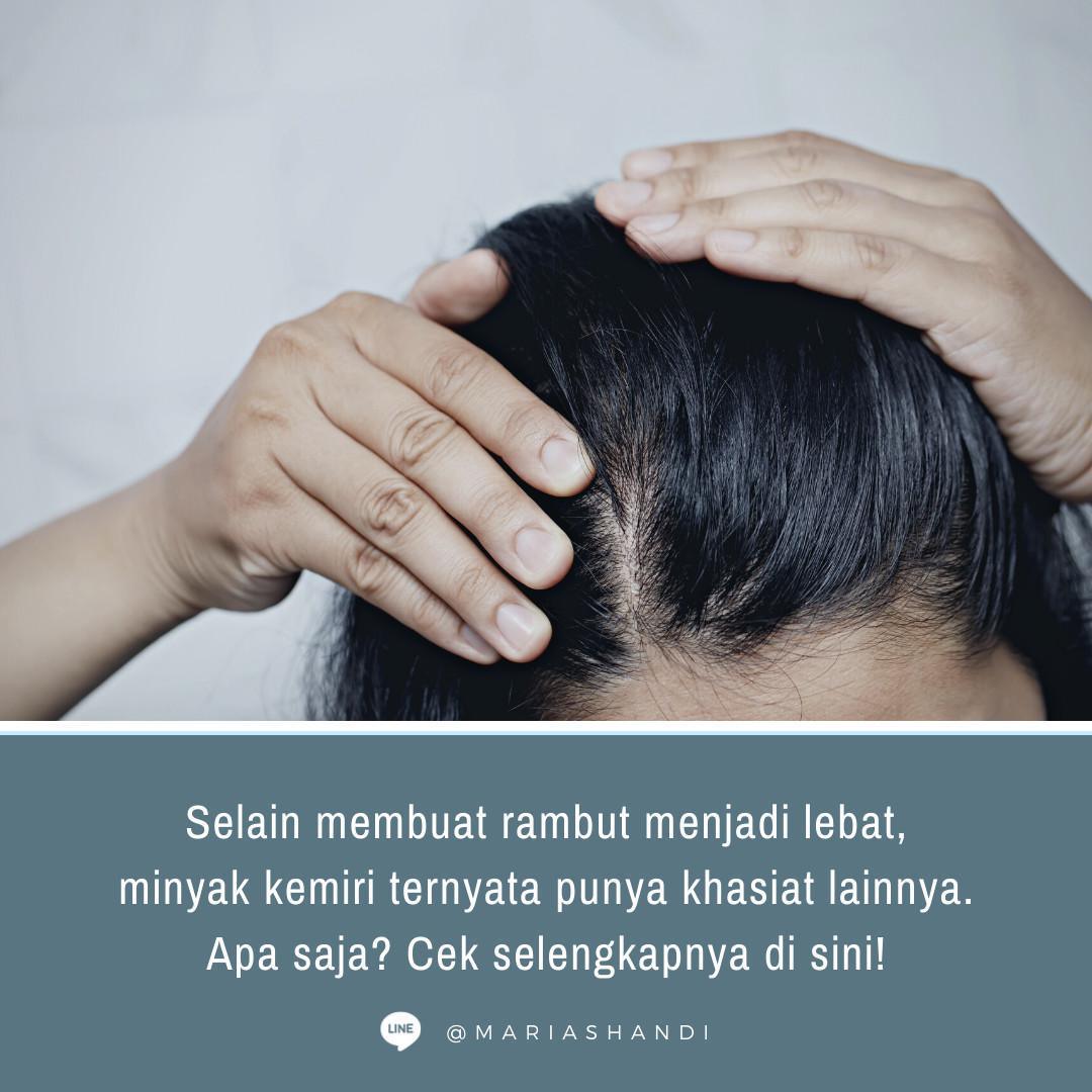 Khasiat Minyak Kemiri Khasiat Minyak Kemiri