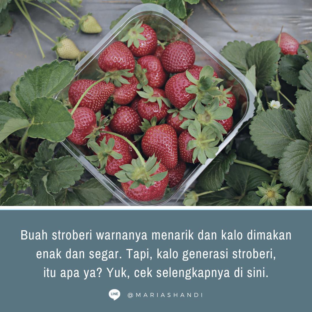 Generasi Stroberi: Kreatif tapi Rapuh? Generasi Stroberi: Kreatif tapi Rapuh?