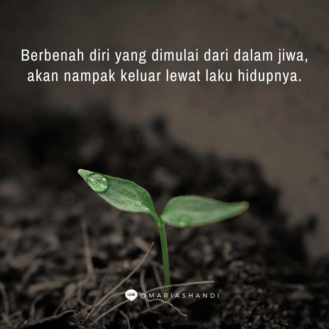 Grow Grow