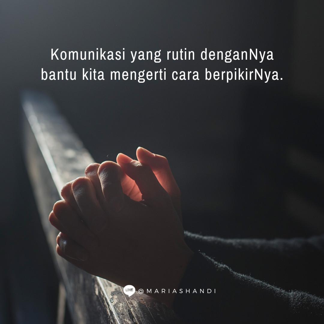 Pokok Anggur Pokok Anggur