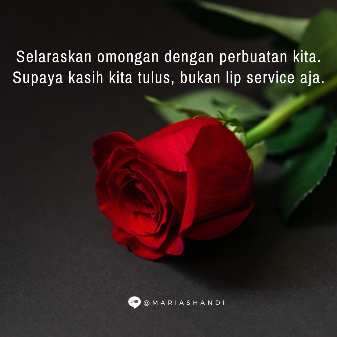 Selaras Selaras