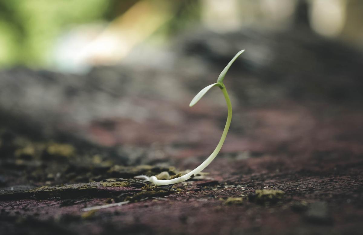 Harapan akan Masa Depan Harapan akan Masa Depan