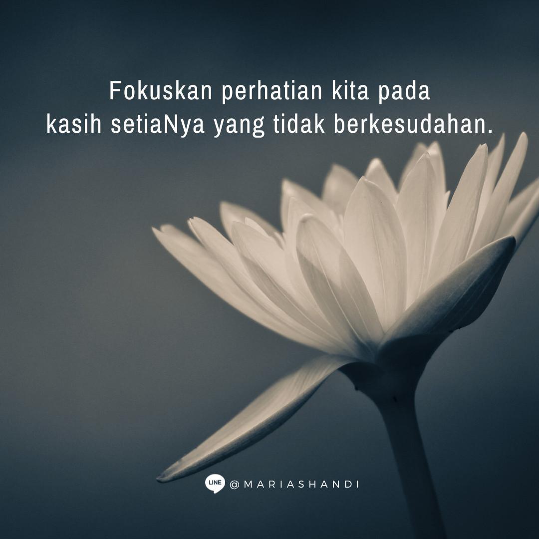 Fokus Perhatian Fokus Perhatian