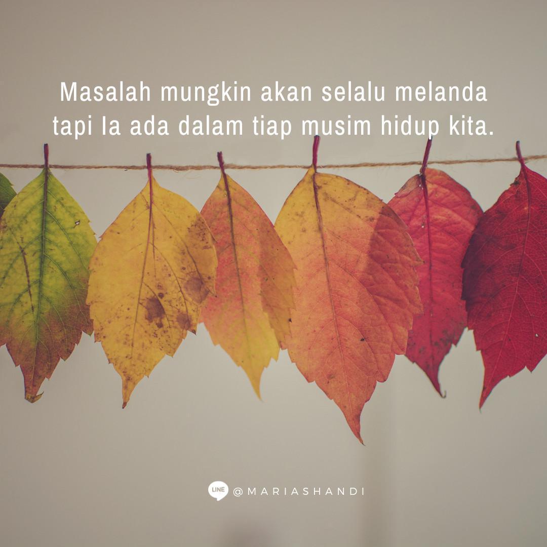 Di Setiap Musim Di Setiap Musim