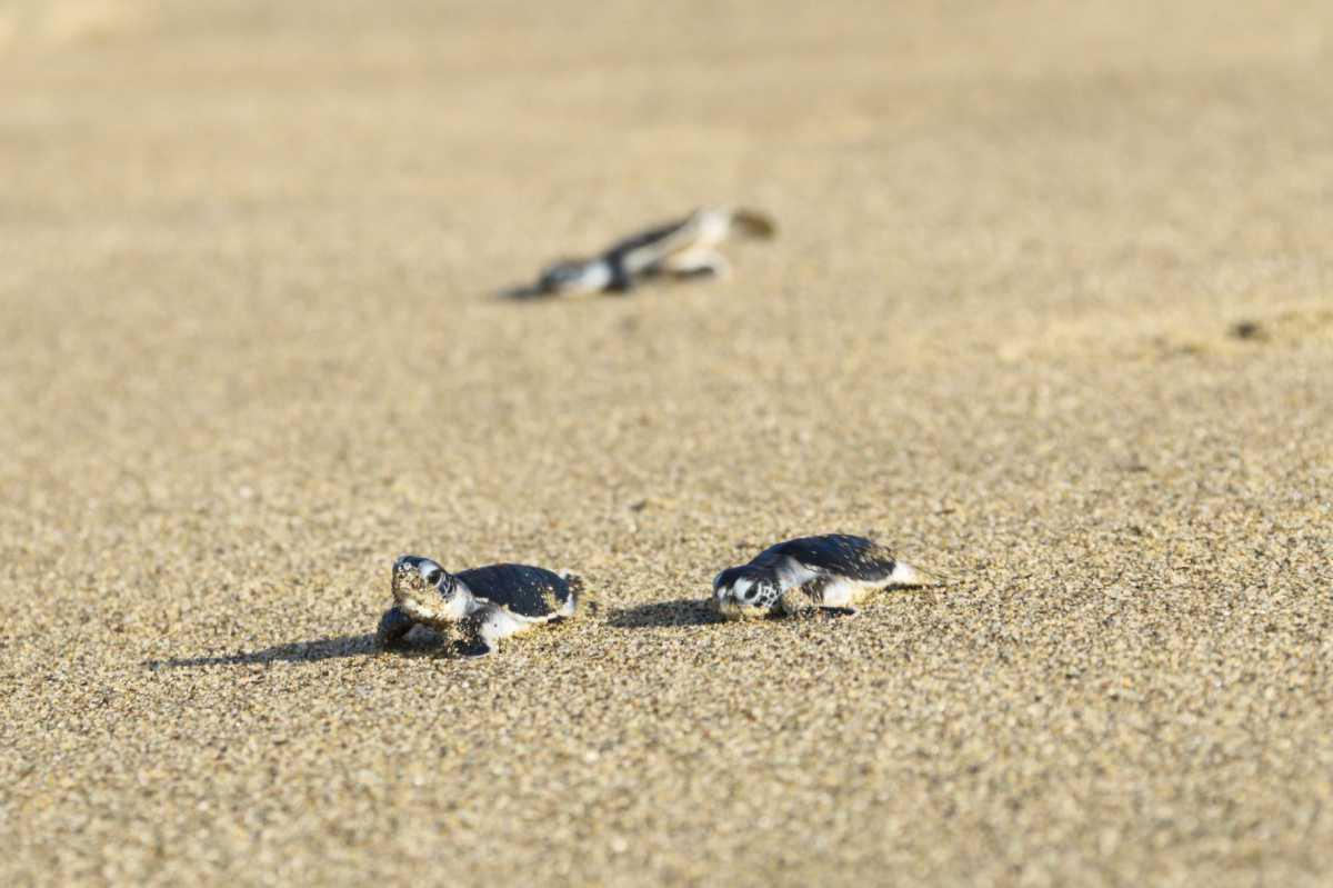 Konsisten dengan Perbuatan Baik Konsisten dengan Perbuatan Baik