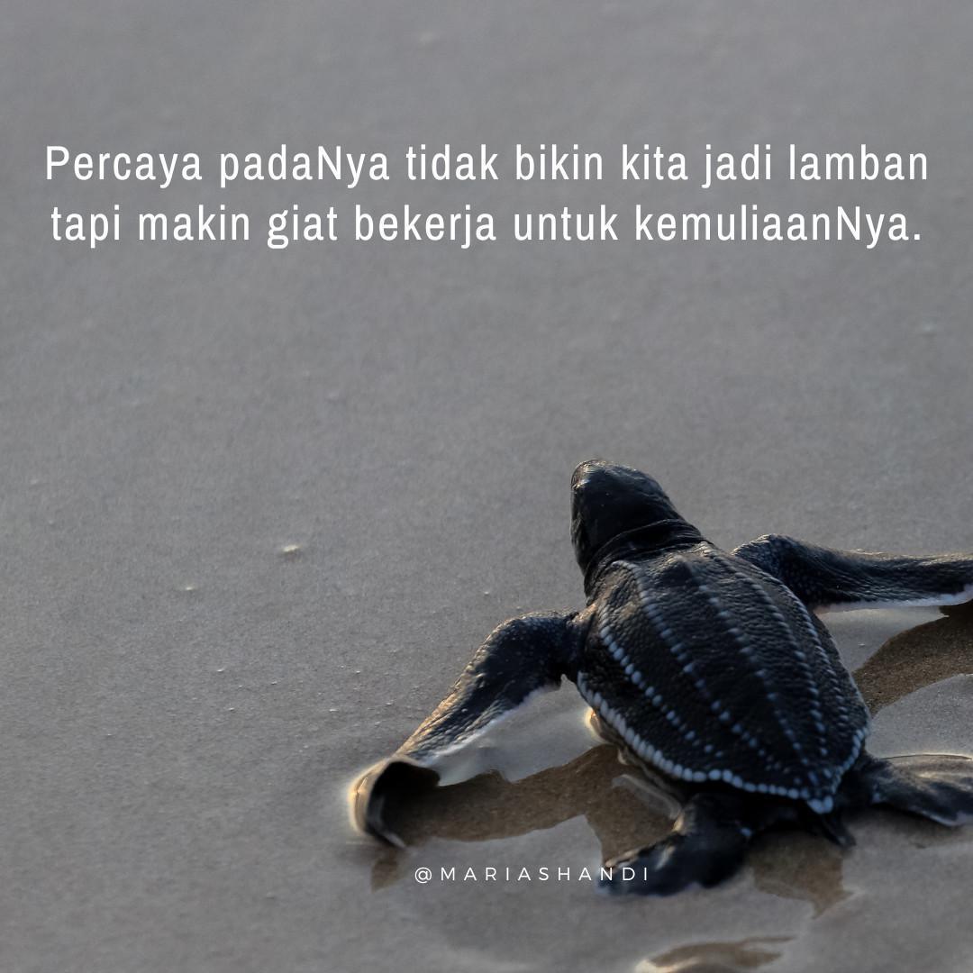 Konsisten dengan Perbuatan Baik Konsisten dengan Perbuatan Baik