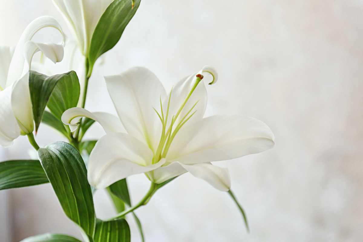 Kekudusan dan Konsistensi Kekudusan dan Konsistensi