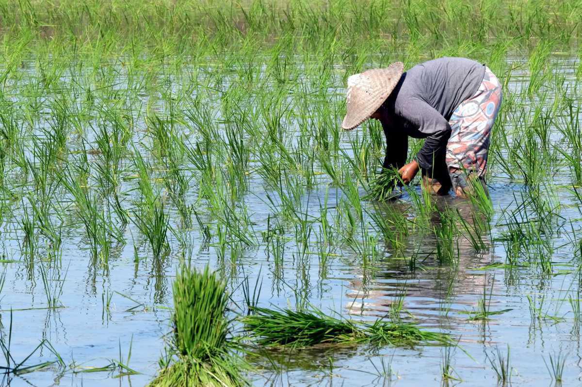 Tekun dalam Teladan Iman Tekun dalam Teladan Iman