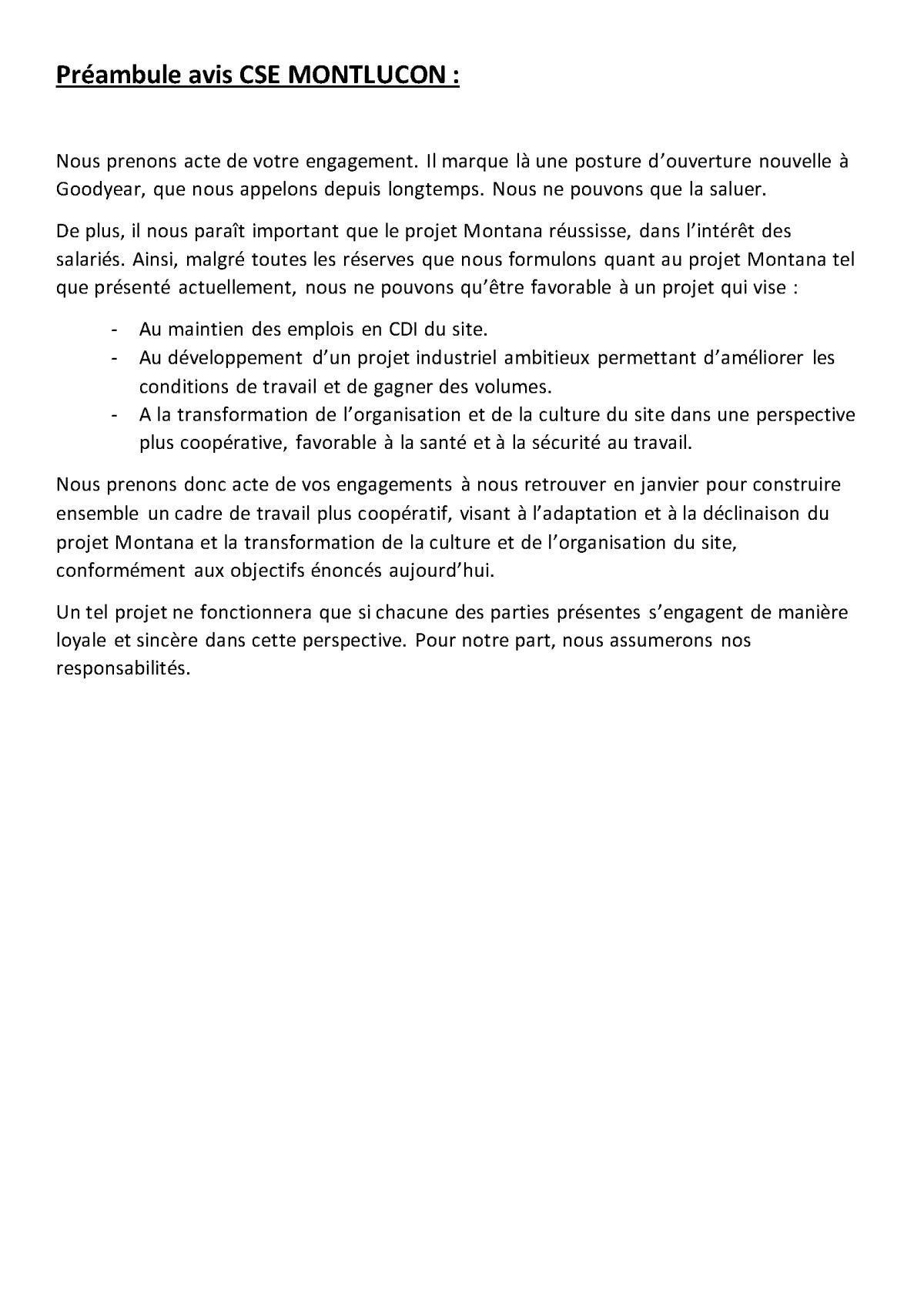 Info-consultation du CSE projet MONTANA Info-consultation du CSE projet MONTANA