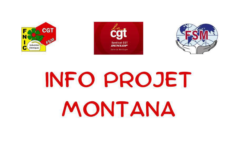Compte rendu réunion sur le projet MONTANA Compte rendu réunion sur le projet MONTANA