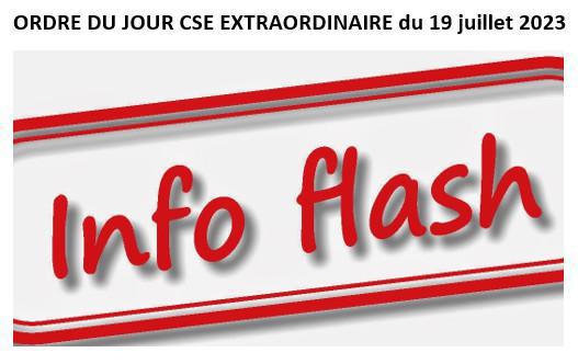 Ordre du jour CSE EXTRAORDINAIRE du 19 juillet 2023 Ordre du jour CSE EXTRAORDINAIRE du 19 juillet 2023