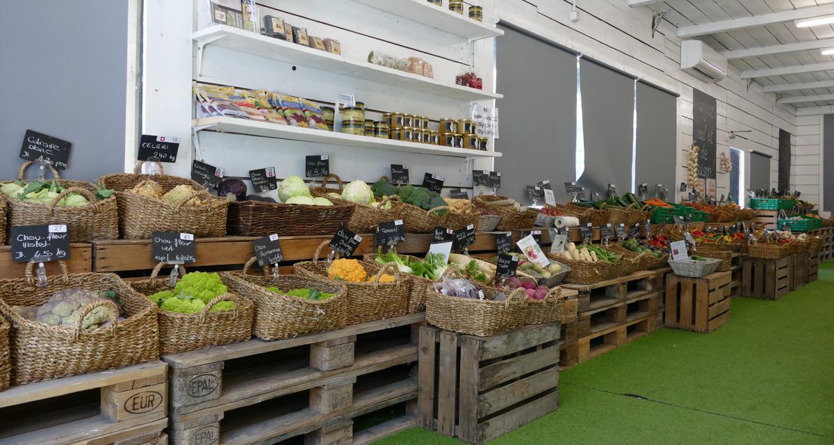 Jardinerie Constantin Jardinerie Constantin