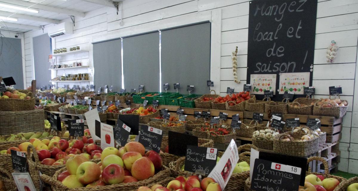 Jardinerie Constantin Jardinerie Constantin