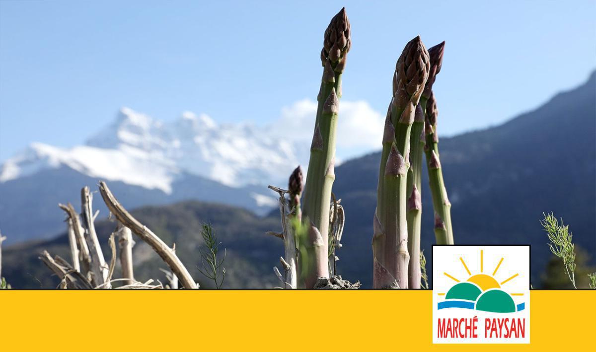 Lattion Ruppen Lattion Ruppen