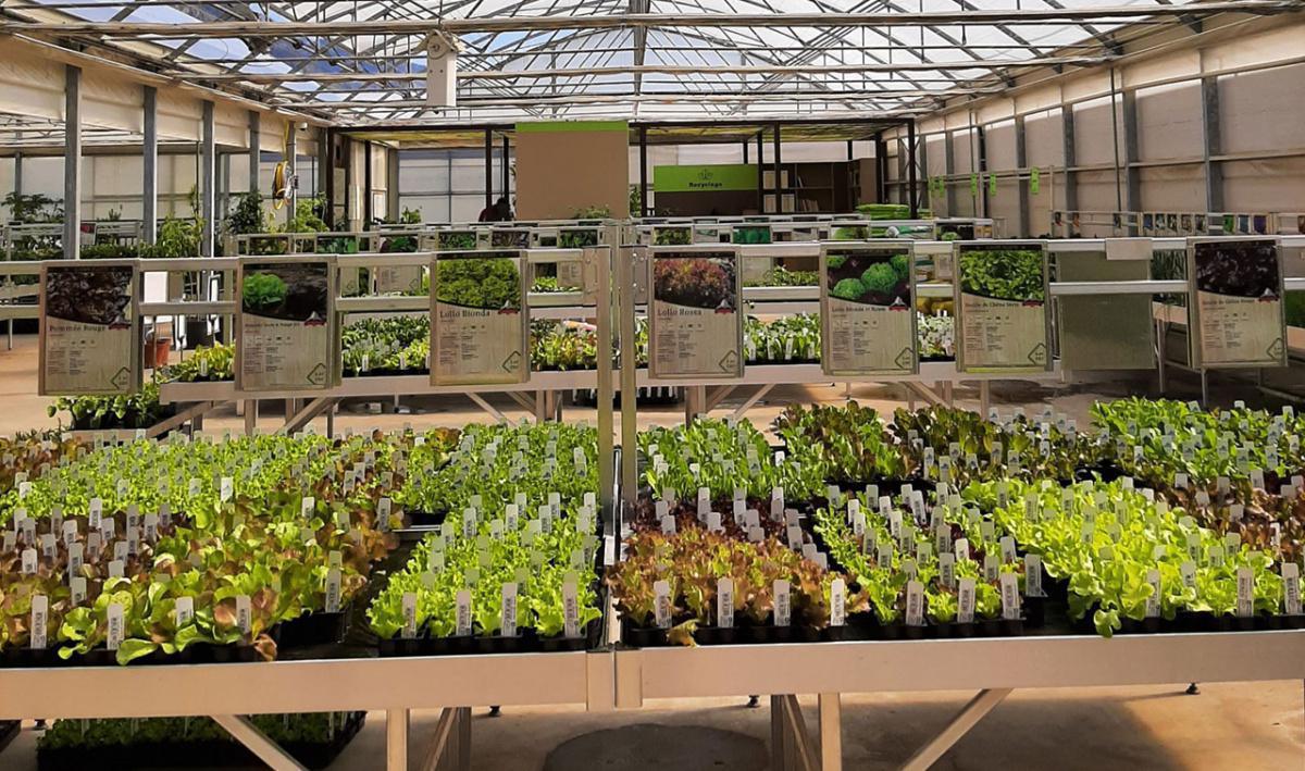 Roduit Plants SA Roduit Plants SA