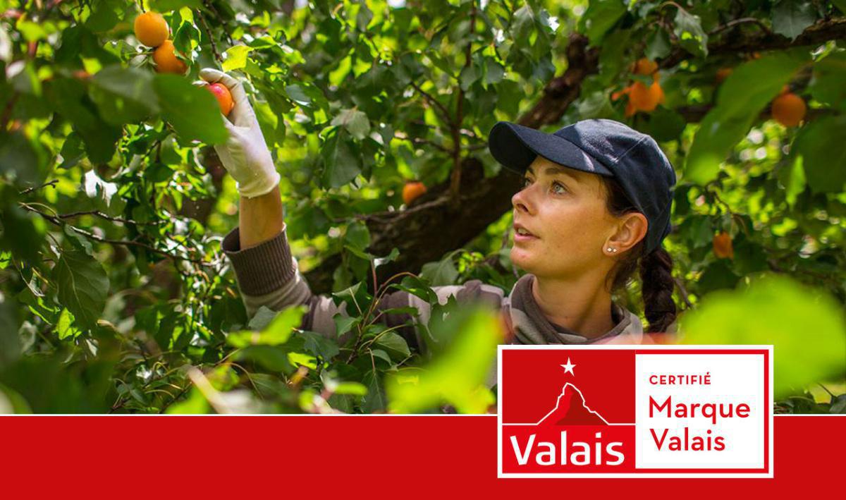 Les Fruits Défendus Les Fruits Défendus