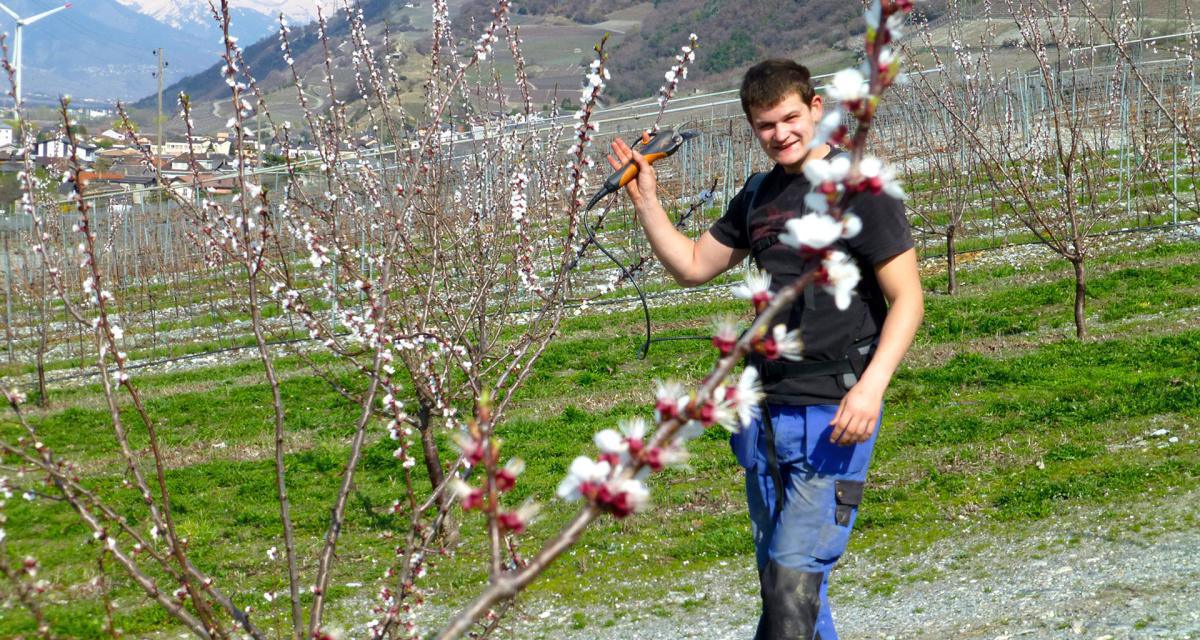 Famille Charly Sauthier Famille Charly Sauthier