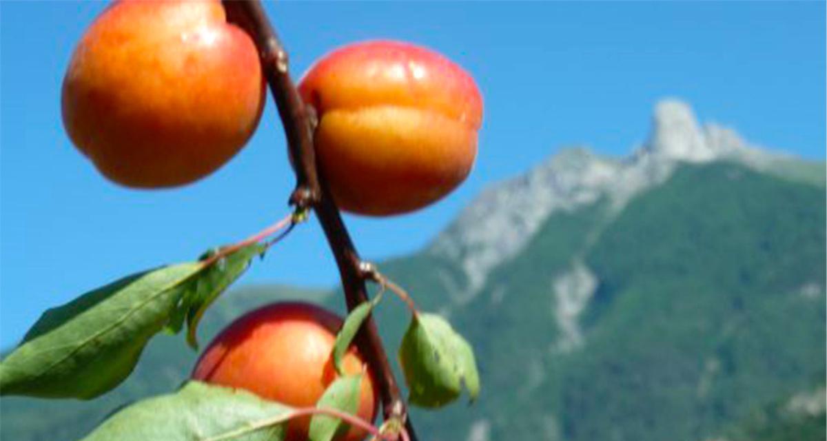 Famille Charly Sauthier Famille Charly Sauthier