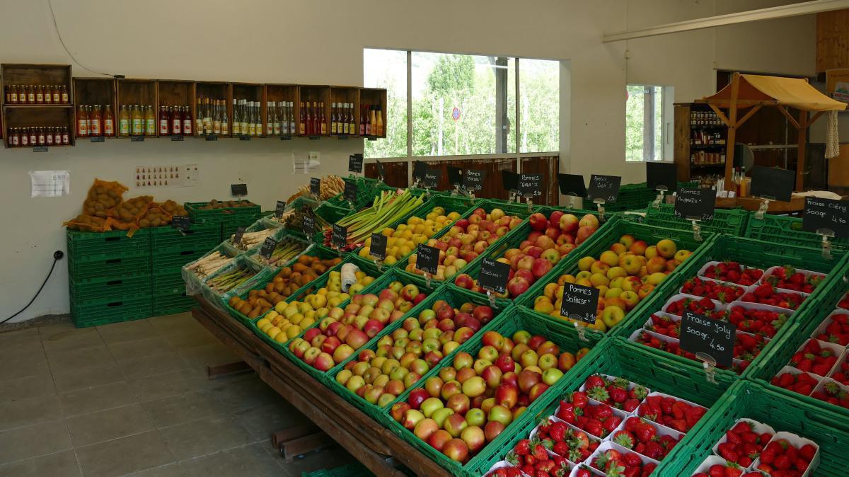 Philfruits Philfruits