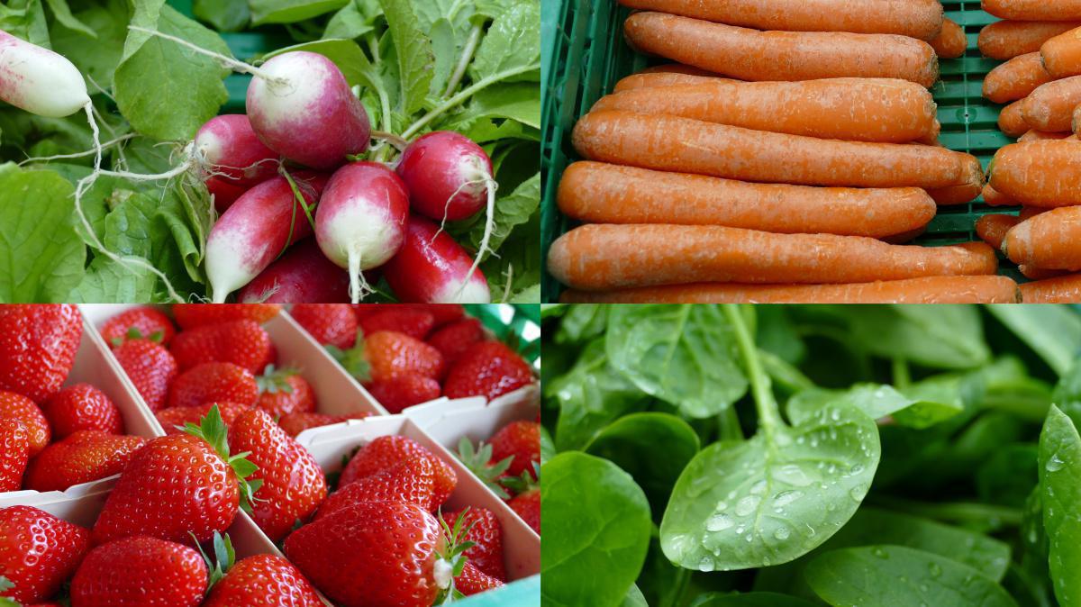 Philfruits Philfruits