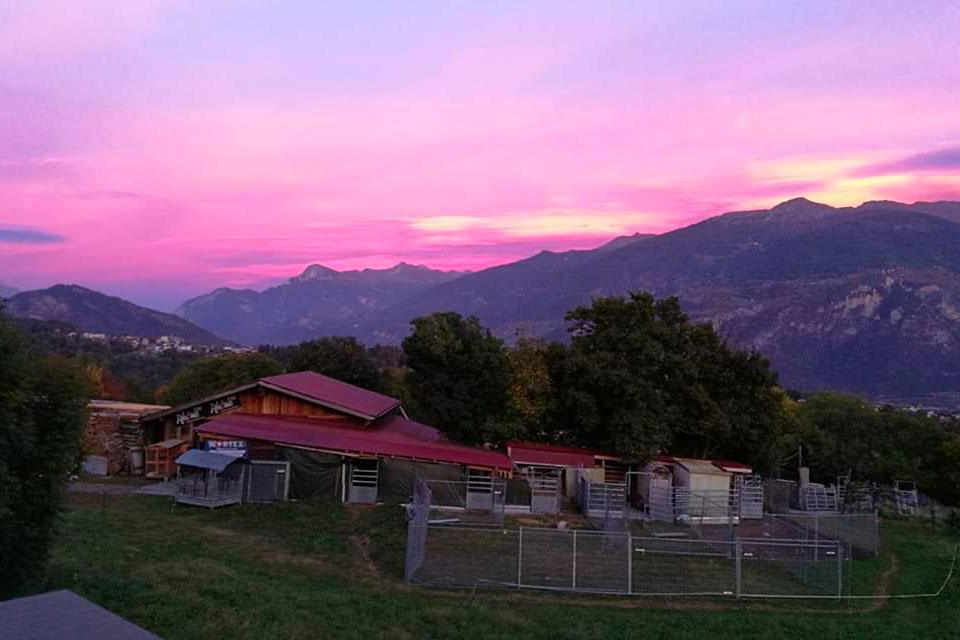 Ferme des Prêles