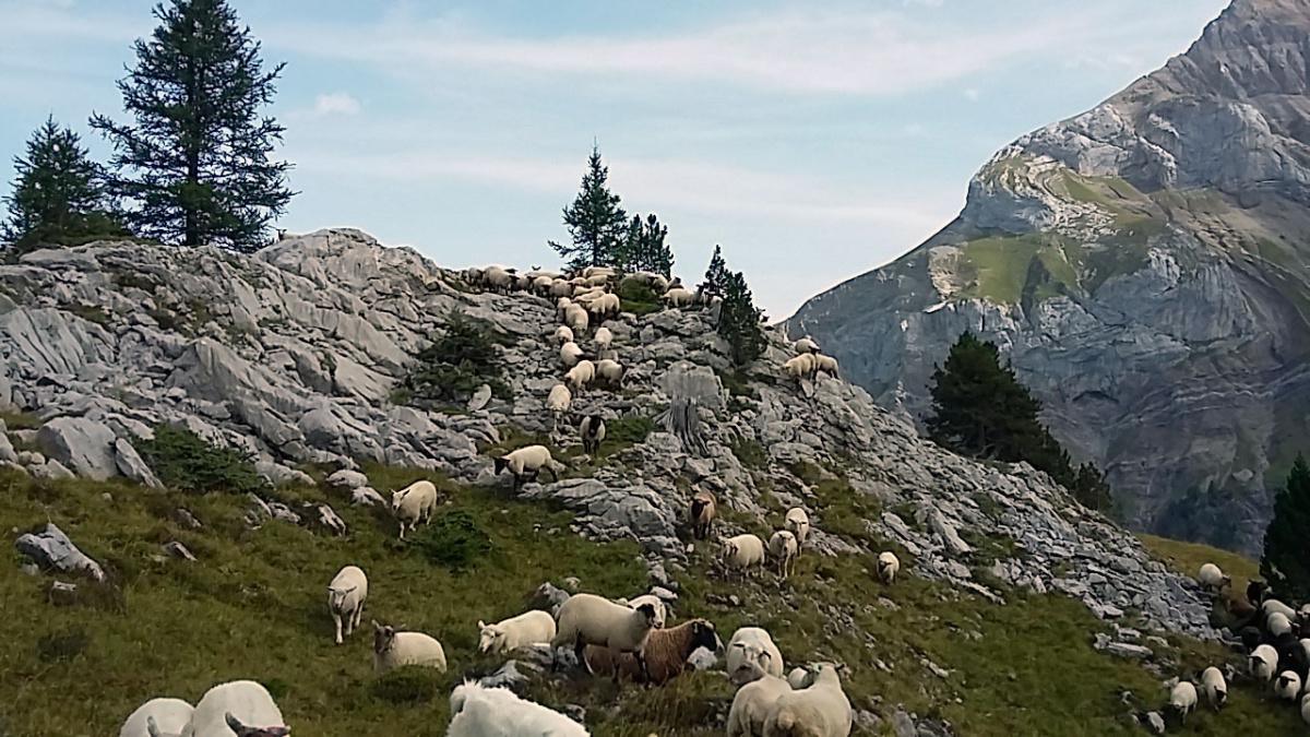 Ferme du Clos du Nez Noir Ferme du Clos du Nez Noir