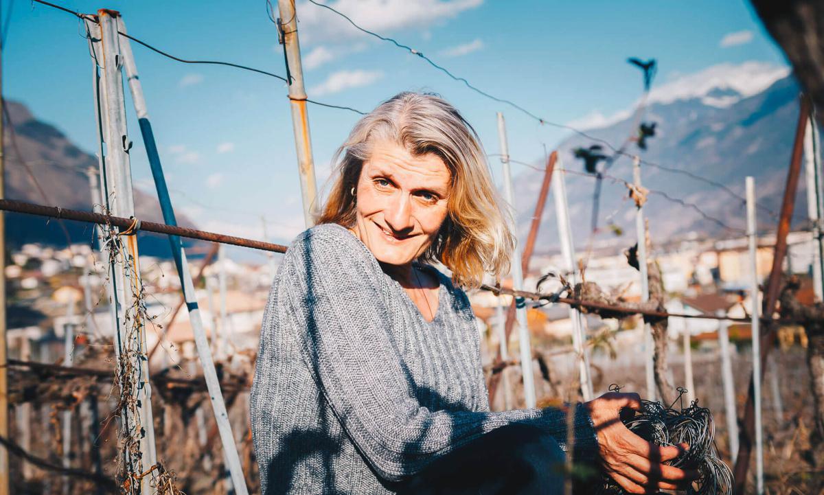 Cave du Bonheur S.R.L Cave du Bonheur S.R.L