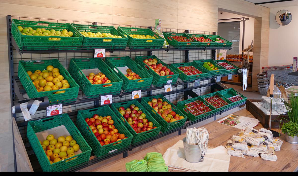 Biofruits SA Biofruits SA