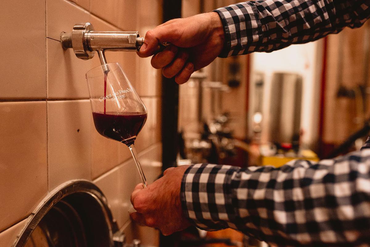 Caves du Paradis Caves du Paradis