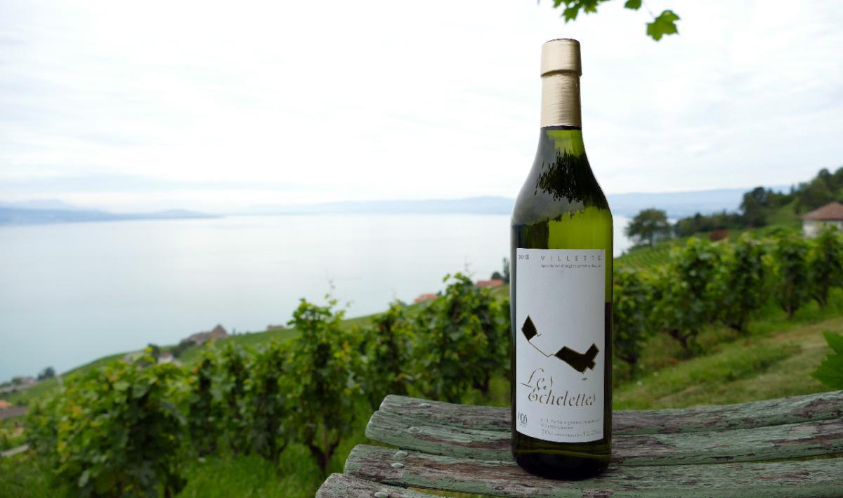 Domaine Porta Domaine Porta