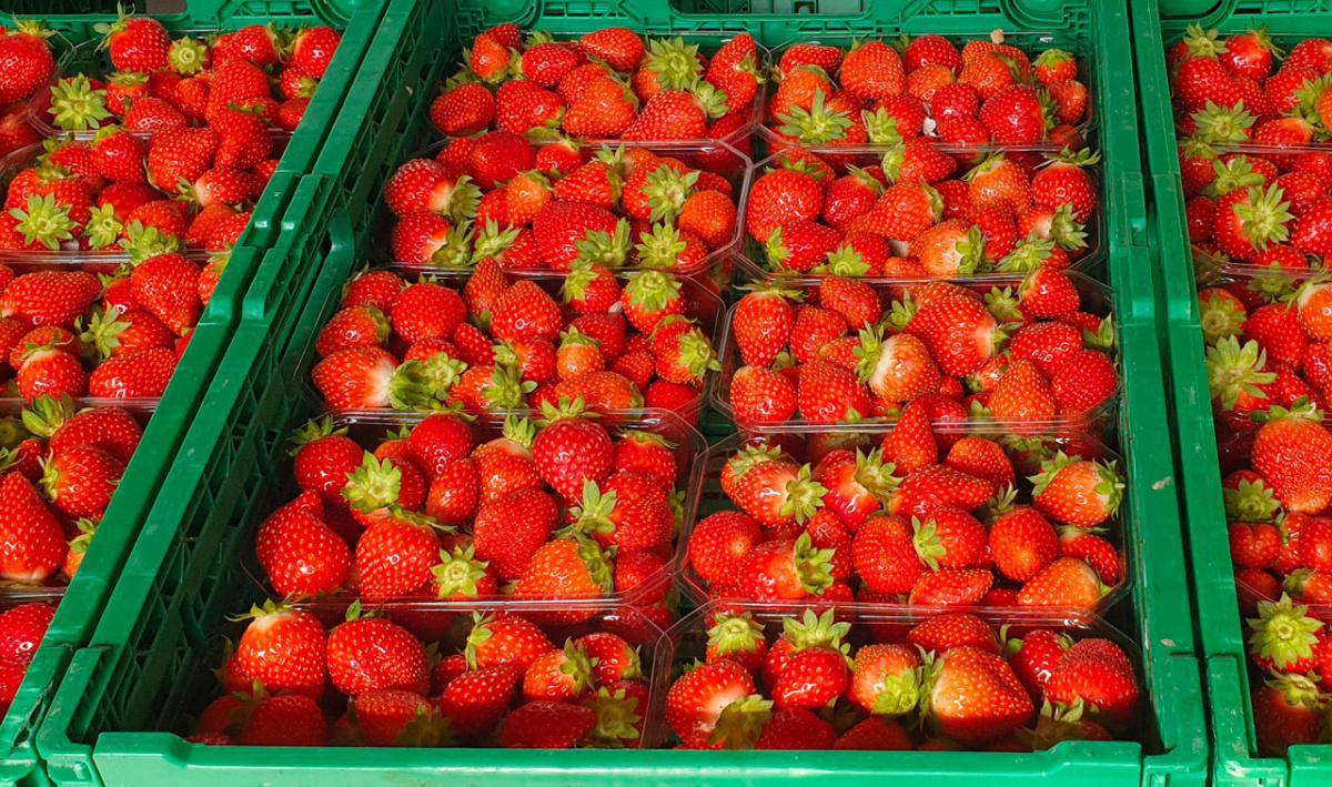 Chez Egg & Ilsoma, Légumes et Fruits de saison Chez Egg & Ilsoma, Légumes et Fruits de saison