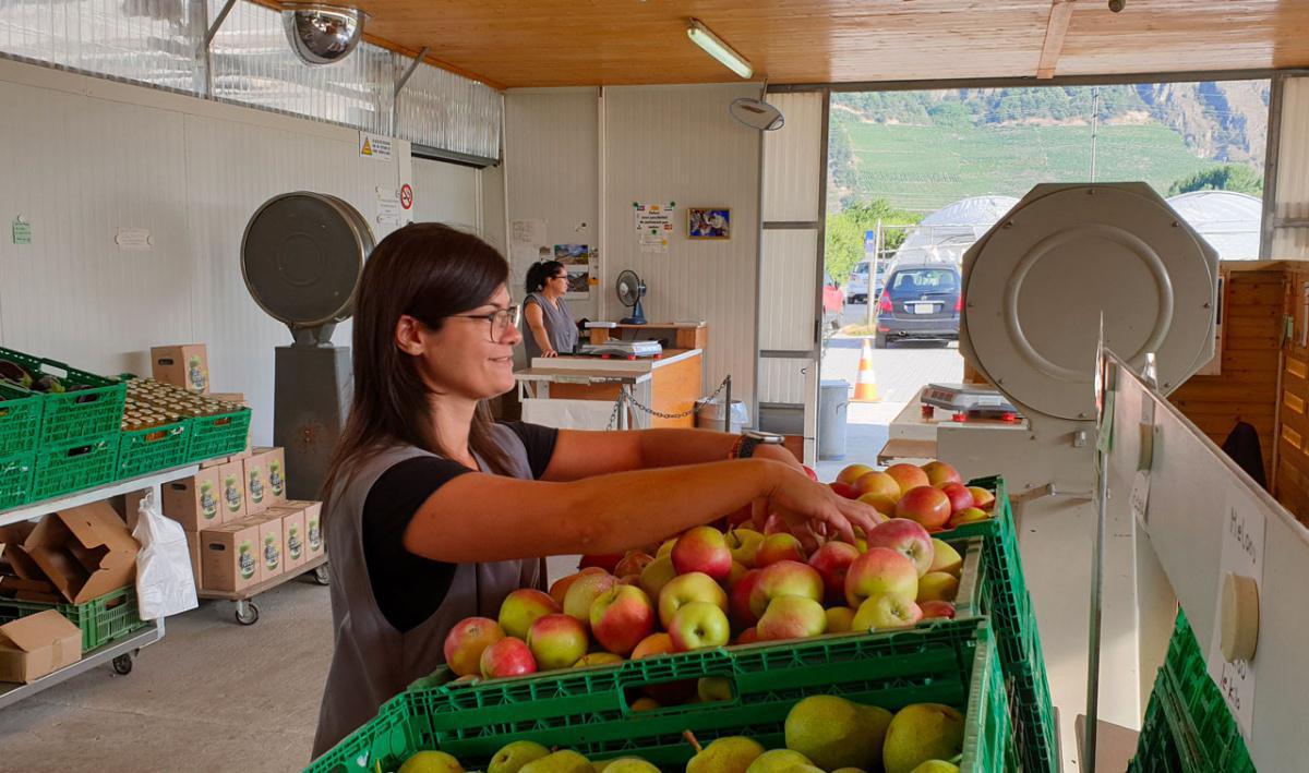 Chez Egg & Ilsoma, Légumes et Fruits de saison Chez Egg & Ilsoma, Légumes et Fruits de saison