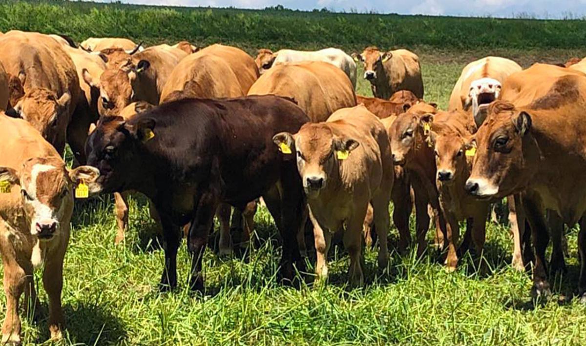 Domaine de la Rose Domaine de la Rose