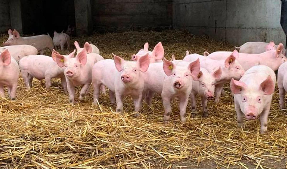 Domaine de la Rose Domaine de la Rose