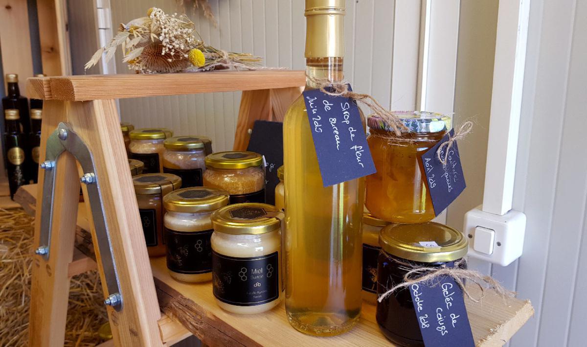 Famille Agassis Famille Agassis