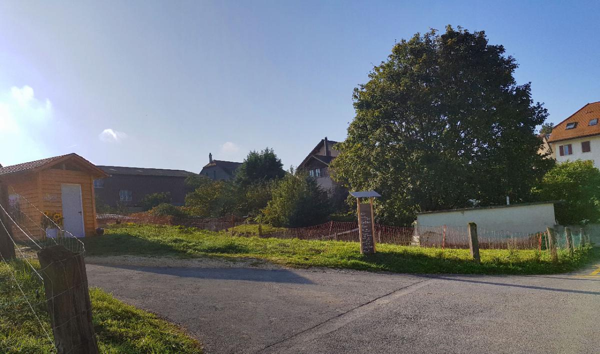 Famille Agassis Famille Agassis