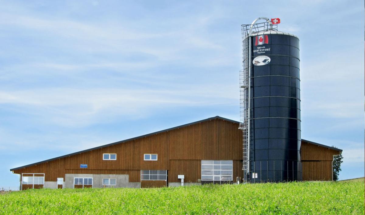 Les Folies de Mamie Les Folies de Mamie