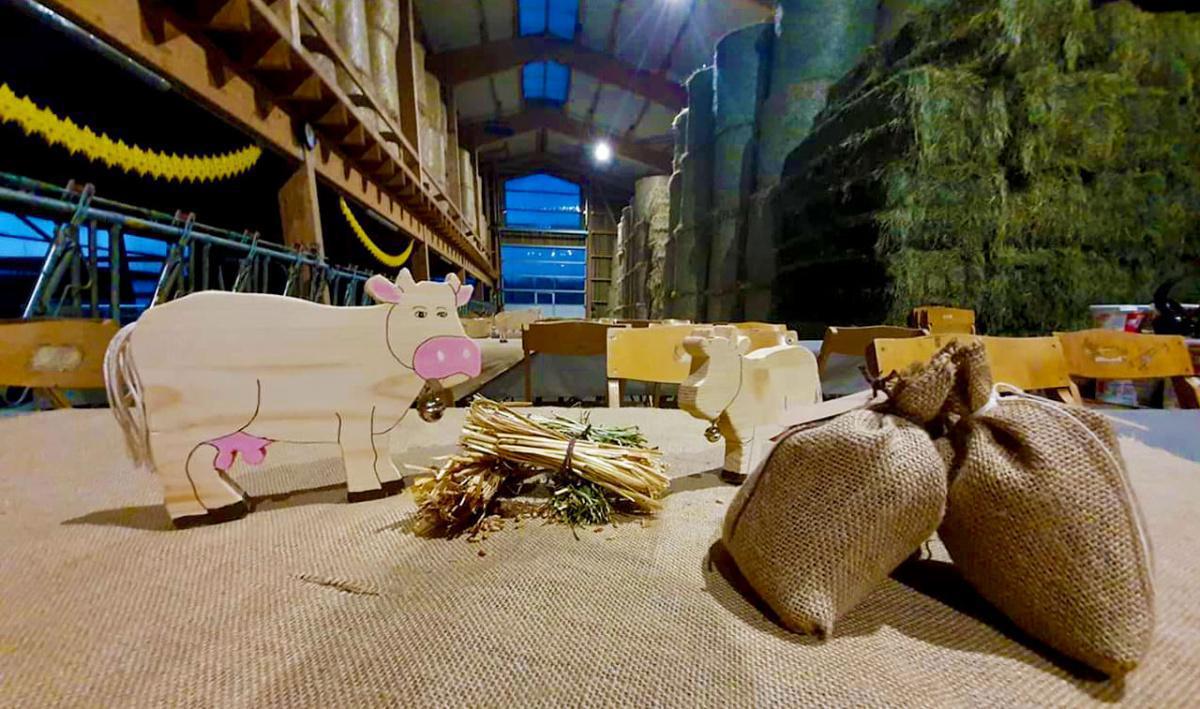 Domaine Mathys Domaine Mathys