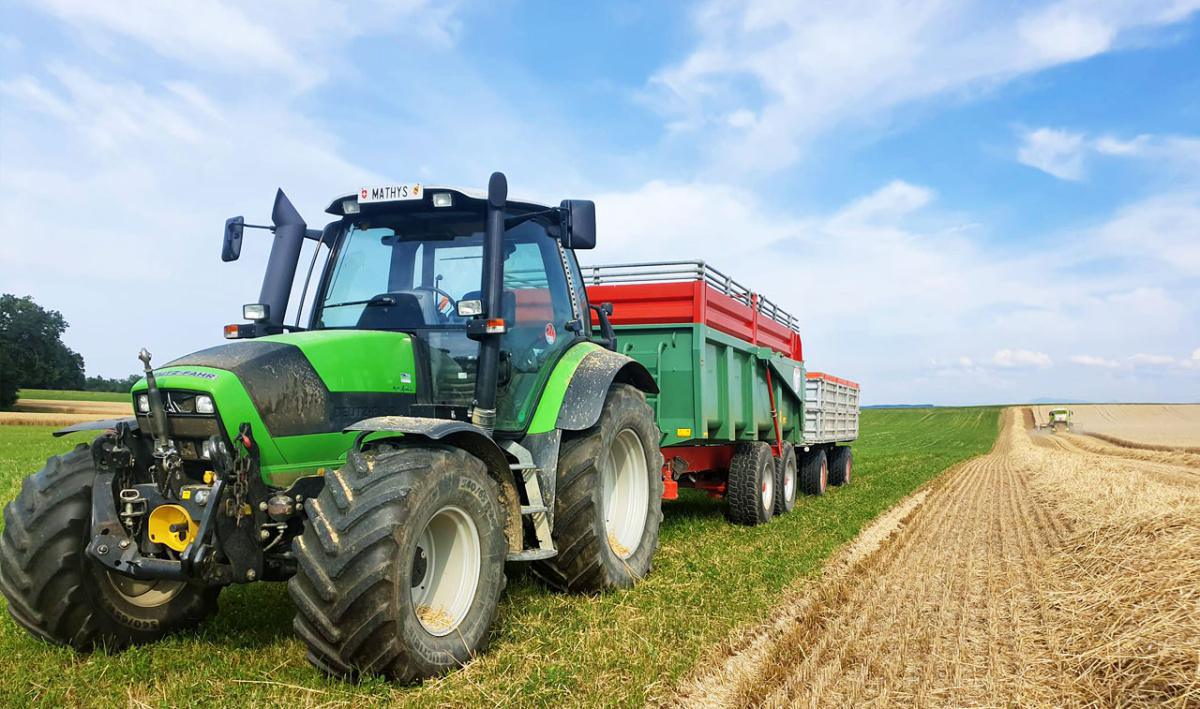 Domaine Mathys Domaine Mathys