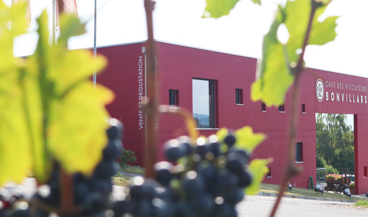 Cave des Viticulteurs de Bonvillars Cave des Viticulteurs de Bonvillars