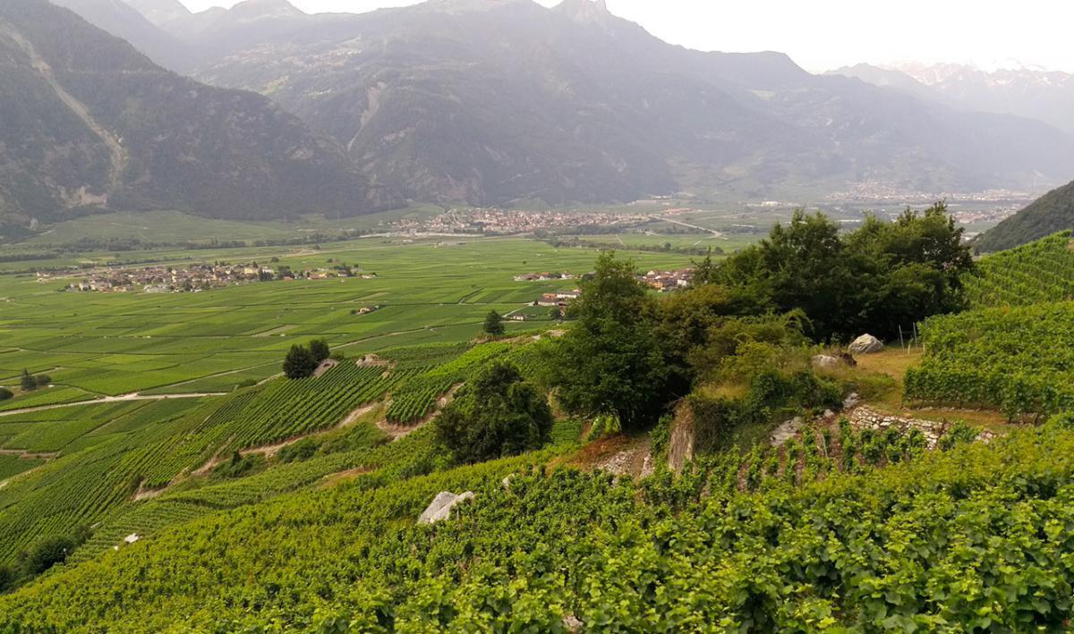 La Cave à Polyte La Cave à Polyte