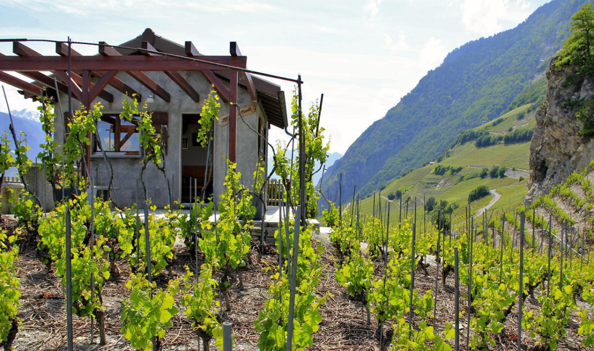Cave Corbassière Cave Corbassière