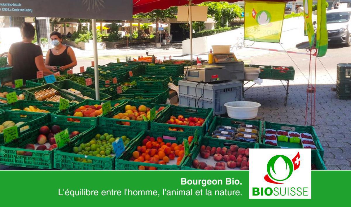 Luchino Bio Luchino Bio