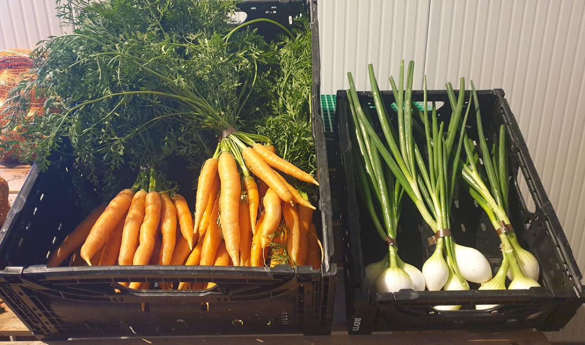 Marché à la Ferme Gerber Marché à la Ferme Gerber