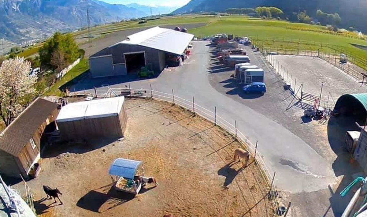 Gabioud Farm'ily Gabioud Farm'ily