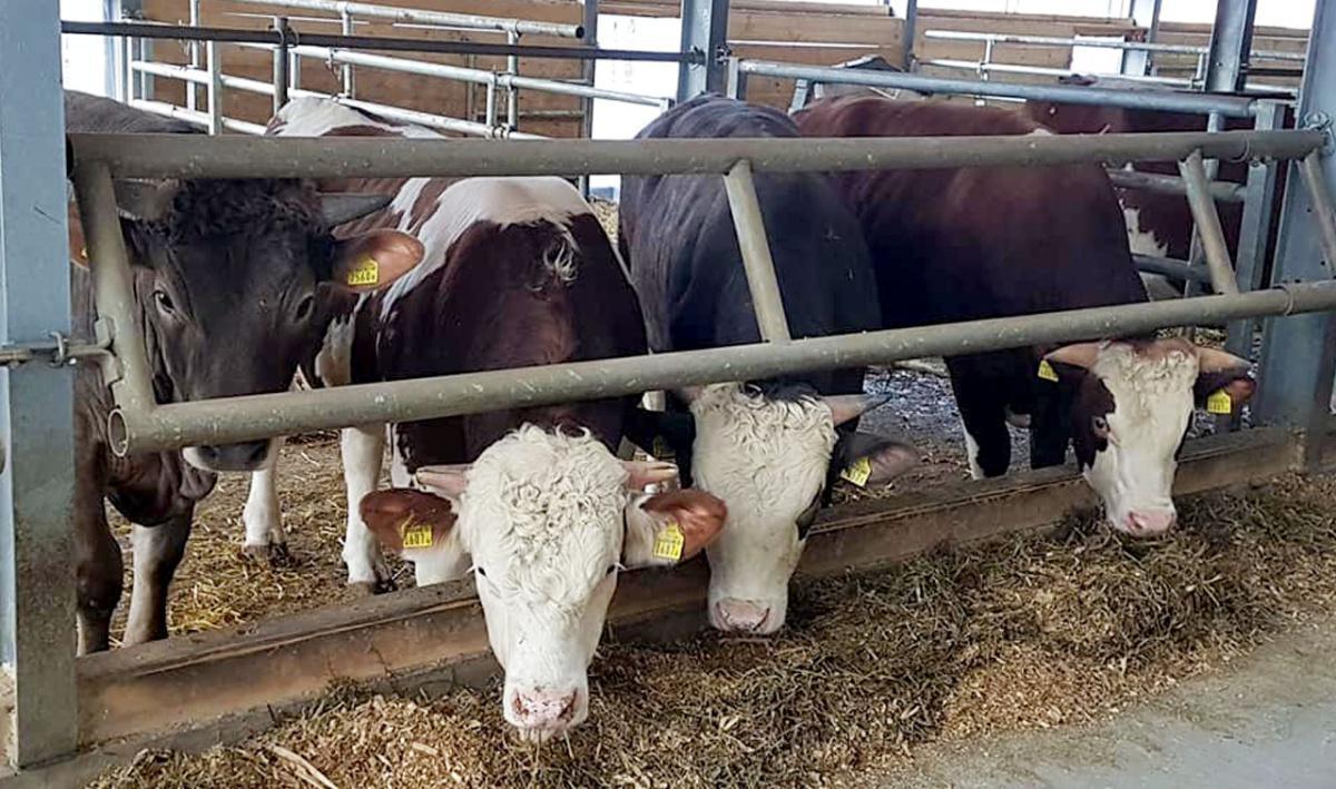 Gabioud Farm'ily Gabioud Farm'ily