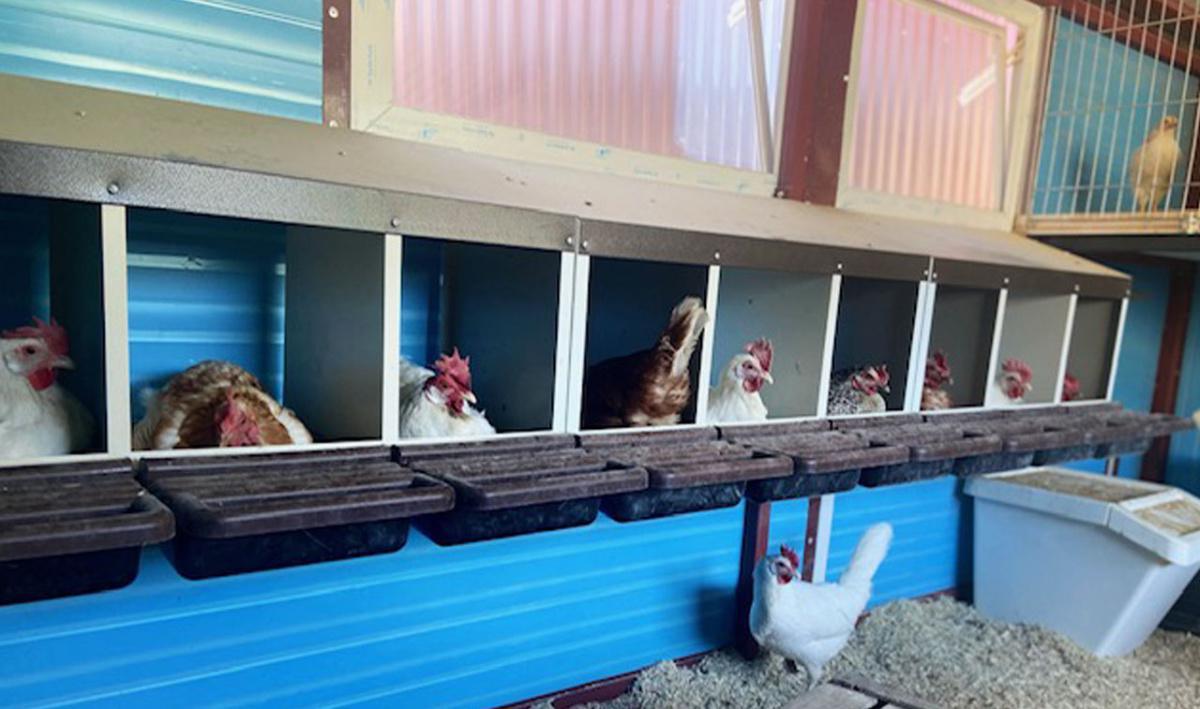 Gabioud Farm'ily Gabioud Farm'ily