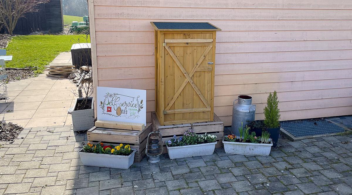 Fraismentbon Fraismentbon