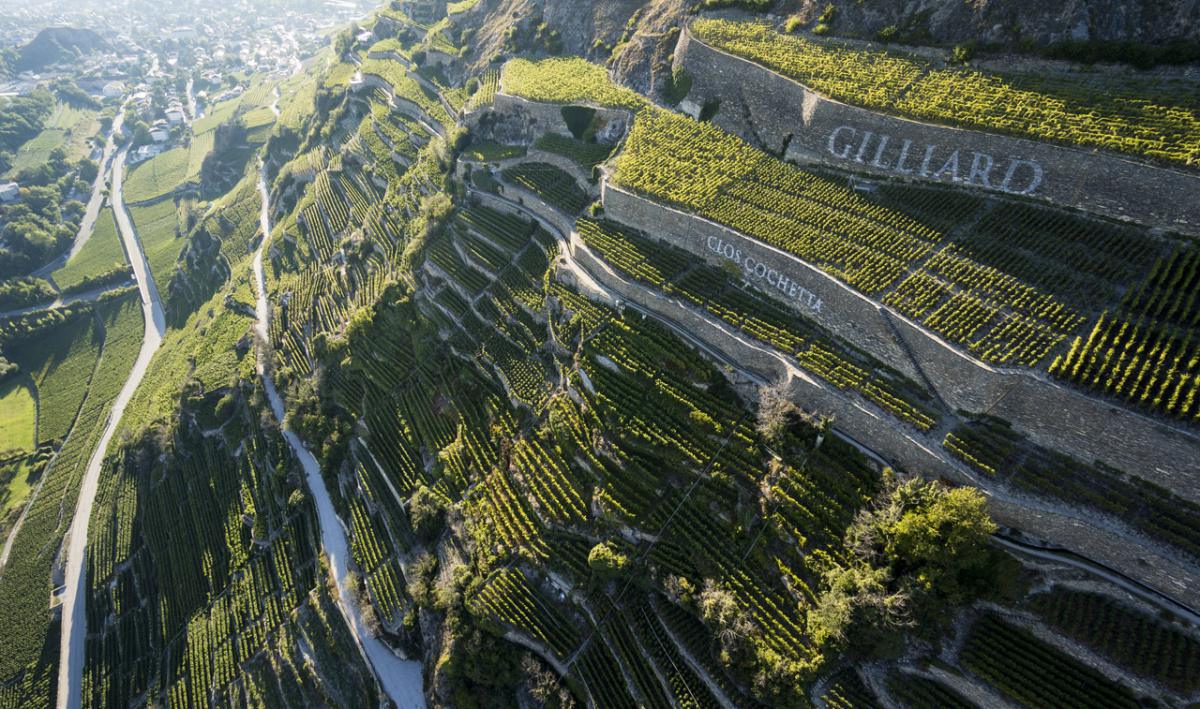 Maison Gilliard SA Maison Gilliard SA